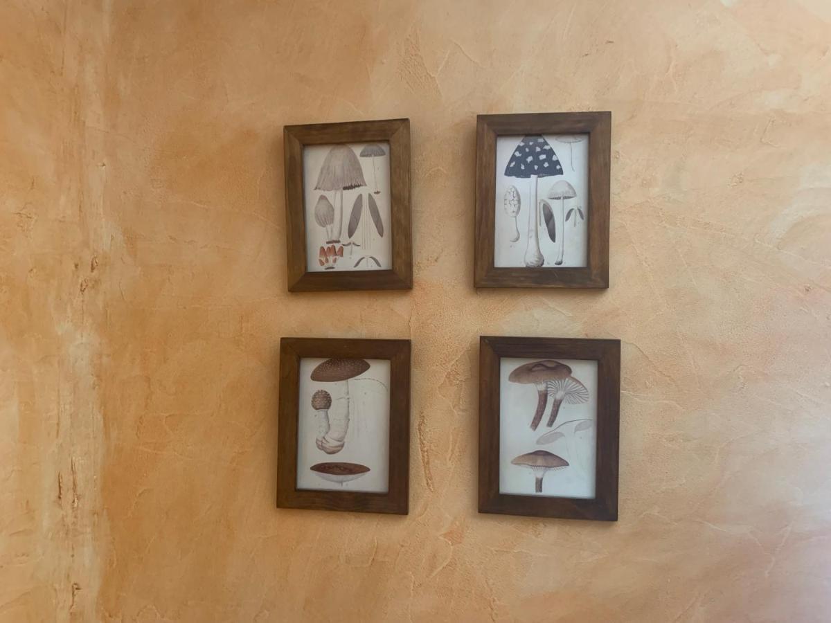Casa Del Plantel Apartment San Ildefonso Екстериор снимка